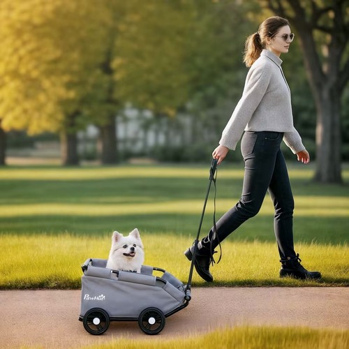 Passeggino per cani pawhut - passeggino,