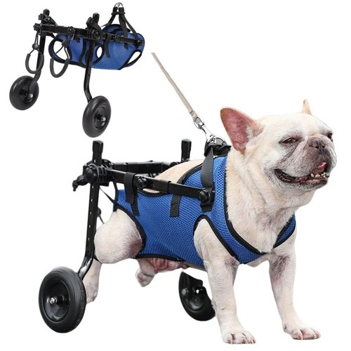 Carrello per cani - cani, disabili